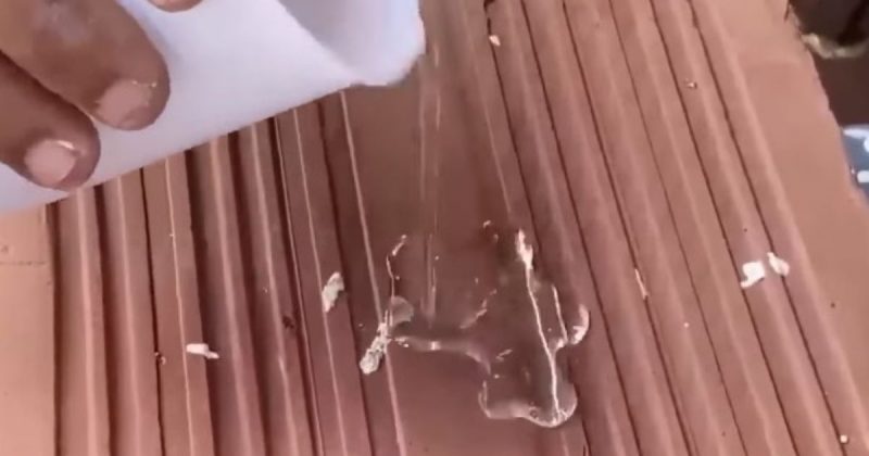 Pedreiro ensina técnica para acabar com a umidade