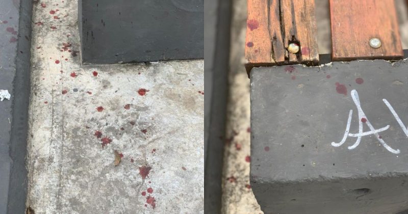 M&atilde;e relata que estava com filhas em frente a Pra&ccedil;a dos Emancipadores quando viu c&atilde;es da ra&ccedil;a Pit Bull se aproximarem – Foto: Reprodu&ccedil;&atilde;o