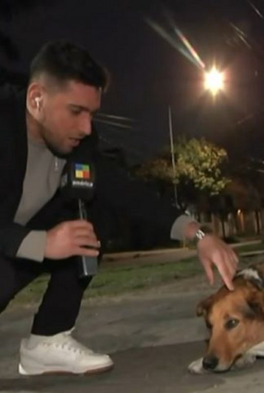 Gonzalo Sorbo fazia uma reportagem quando levou uma mordida do cachorro de rua chamado Bruno