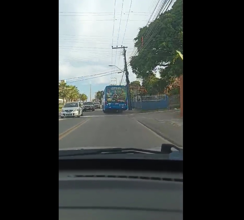 Bus Line 462 - Campeche - Divulgação/ND