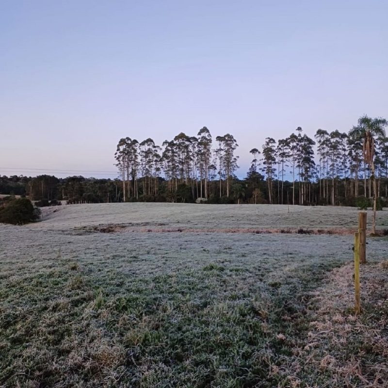 Tai&oacute; registrou na manh&atilde; desta segunda-feira (1&ordm;) a temperatura de 0,5&ordm;C – Foto: Rede Web TV/Reprodu&ccedil;&atilde;o/ND