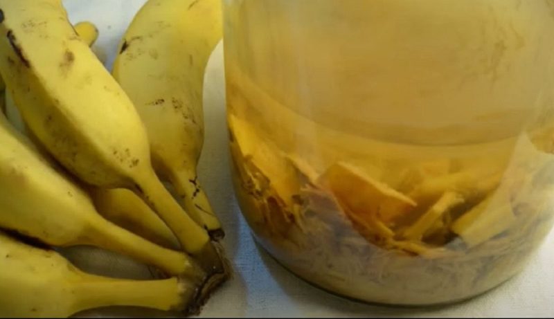 na foto, vinagre de banana rico em nutrientes 