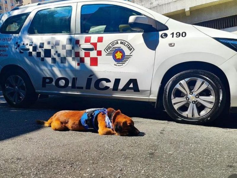 cabo caramelo próximo a uma viatura da policial militar de guarulhos