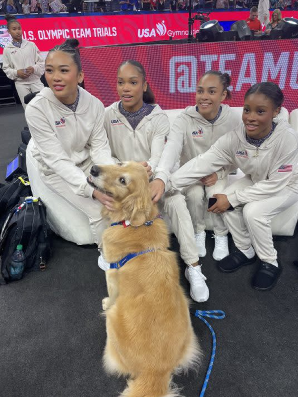 Golden Retriever Beacon com a equipe de ginástica dos Estados Unidos