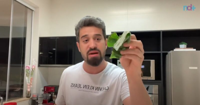 Imagem mostra médico segurando couve, um dos ingredientes para suco detox para faxinar organismo e emagrecer