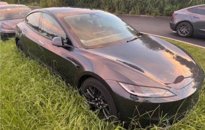 carros da tesla abandonados em campo com vegetação crescendo ao redor 