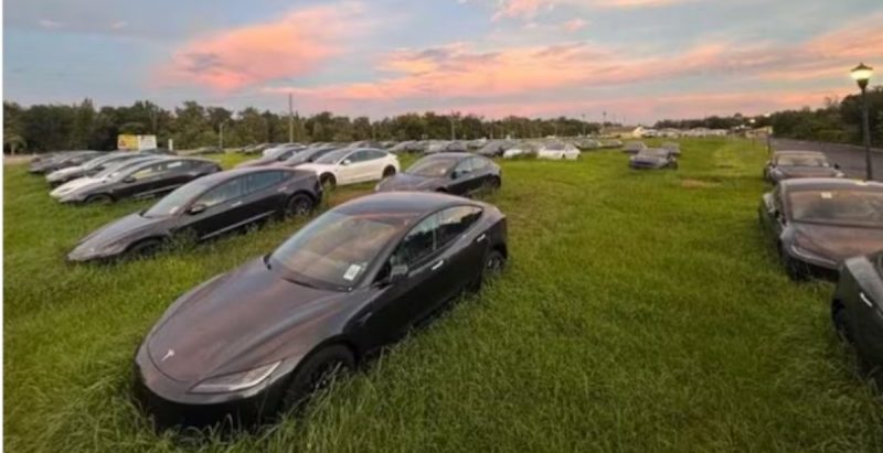 centenas de carros da tesla foram avistados em campo na Flórida