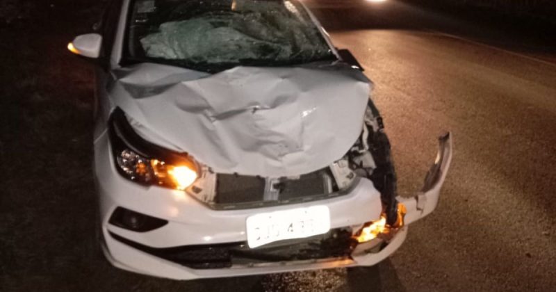 Homem e mulher morrem atropelados na BR-280 em SC – Foto: CBMSC/Divulga&ccedil;&atilde;o/ND