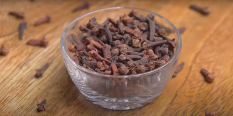 Cravo-da-Índia é aliado contra o mau hálito
