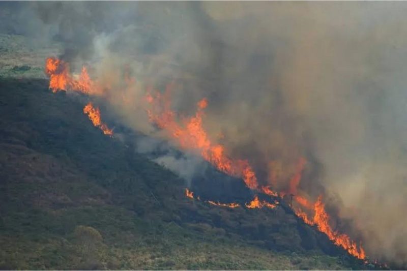 Tempo em setembro traz riscos de queimadas nas regiões Norte e Centro-Oeste do país com a falta de chuvas nas regiões