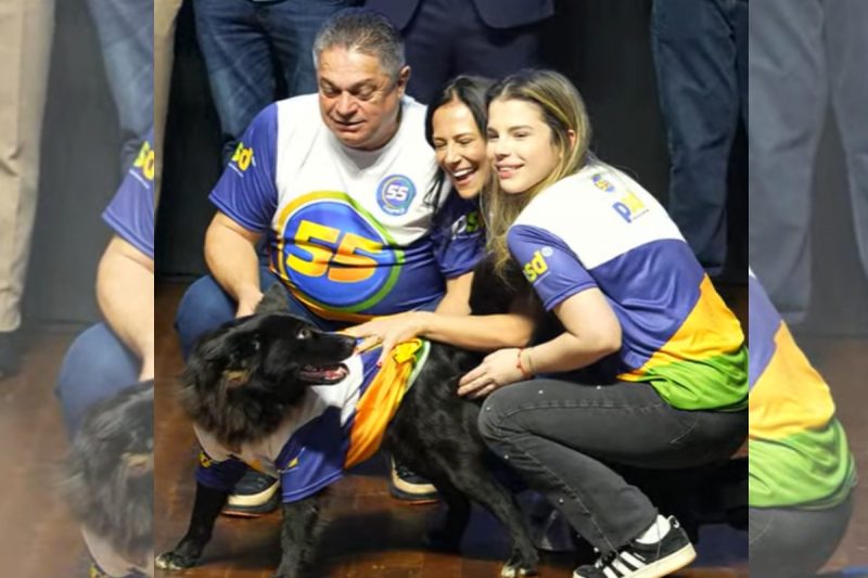 João Rodrigues foi oficializado como candidato do PSD. 