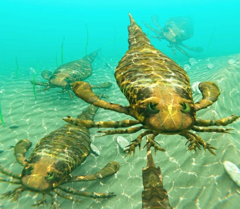 Imagem ilustrativa de como seria os escorpiões marinhos se estivesse vivos atualmente