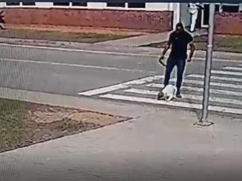 Homem agride cachorro com cinto e chutes e arrasta animal pela rua 