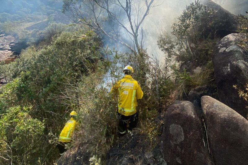 incêndio, campos do quiriri, garuva