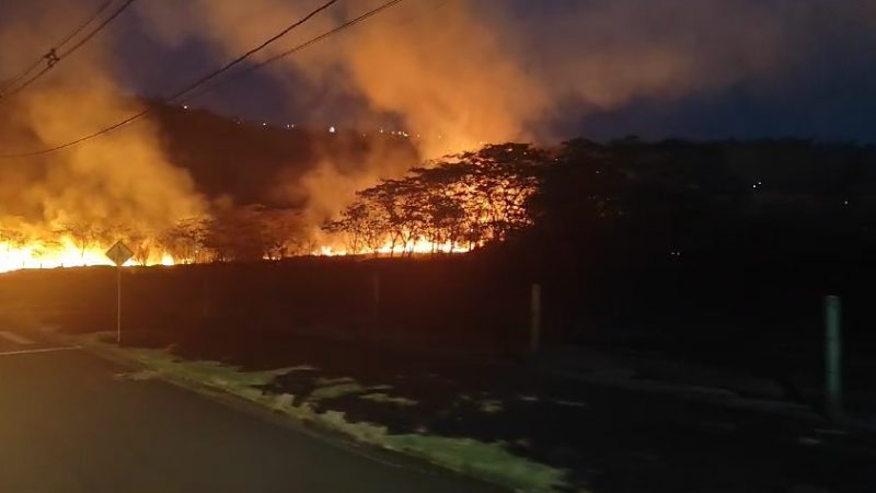 Um incêndio atingiu 50 mil m² de vegetação em Chapecó.