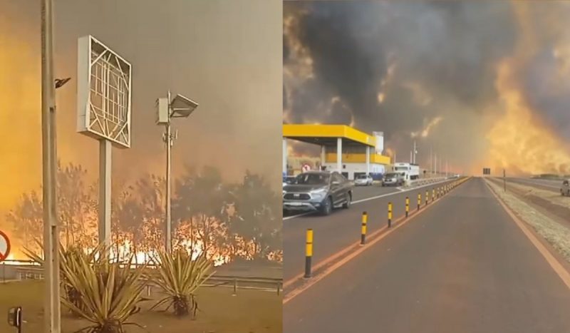 Incêndios em São Paulo atingiram Ribeirão Preto