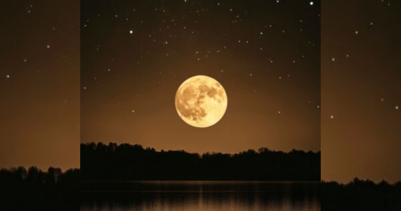 Lua em céu estrelado, com lago e floresta