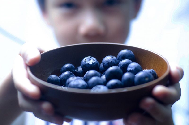 Criança oferecendo mirtilos em pote (fruta que diminui o risco de demência)