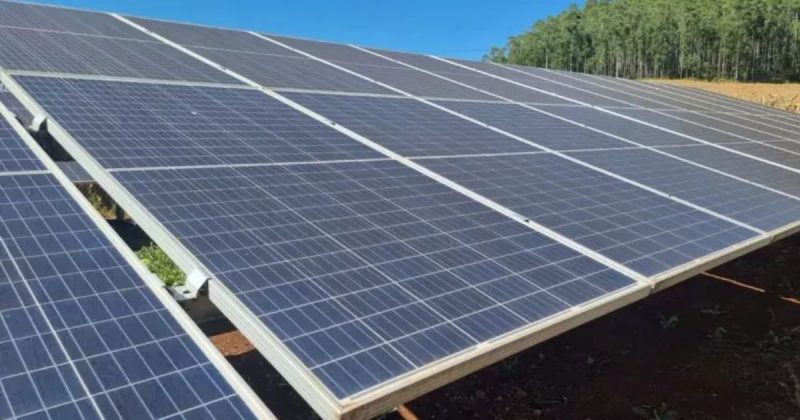 Painéis de energia solar colocados em linha horizontal em grande campo verde