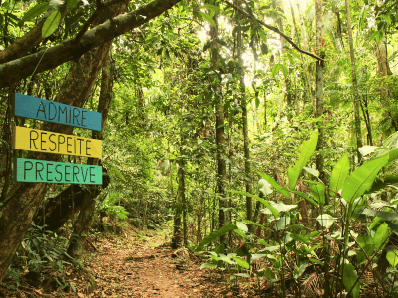 Foto de um caminho de terra, uma trilha, em meio a vegetação densa. No tronco de uma das árvores há uma placa nas cores azul, amarelo e verde onde está escrito: "Admire. Respeite. Preserve". 