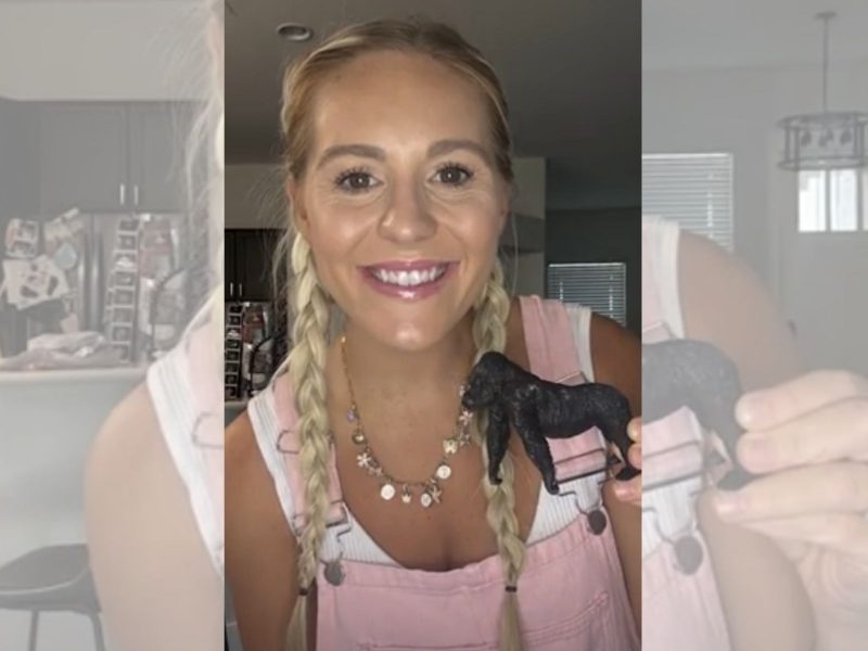 Maddy fez brincadeiras com o gorila na sala de estar e compartilhou a experi&ecirc;ncia no TikTok – Foto: Reprodu&ccedil;&atilde;o/ND