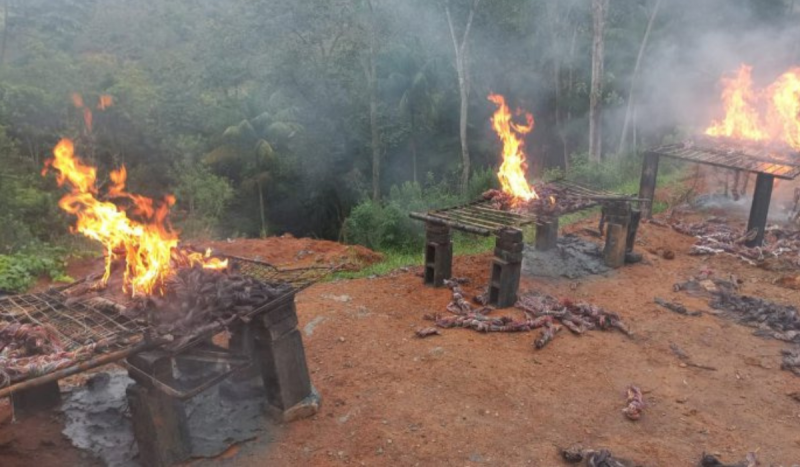 Fios de cobre sendo queimados em cima de pilastras de concreto em meio à mata na Grande Florianópolis, em Santo Amaro da Imperatriz