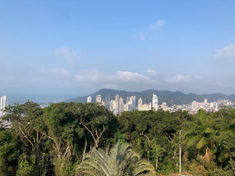 na foto, paisagem de Itajaí com arvores a frente, prédio atrás e céu limpo de dia ensolarado com temperaturas amenas no Litoral Norte de SC