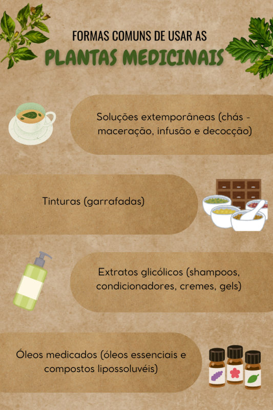 Infográfico sobre o uso de plantas medicinais 