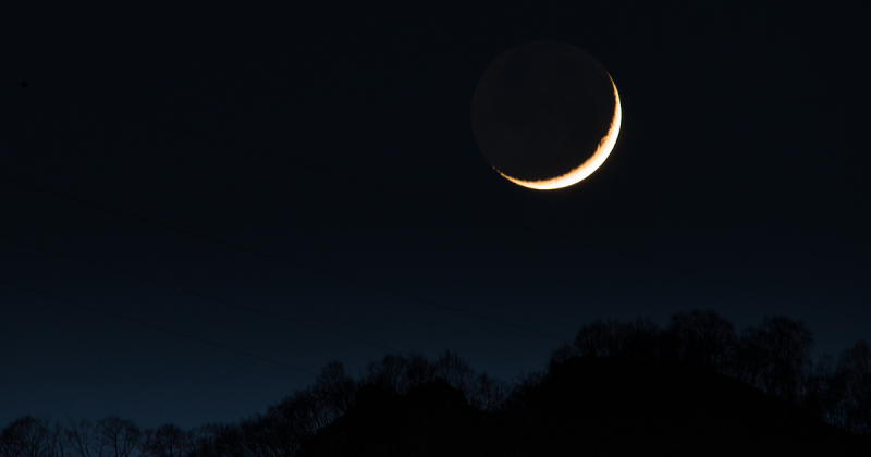 Lua em céu azulado com vegetação por trás