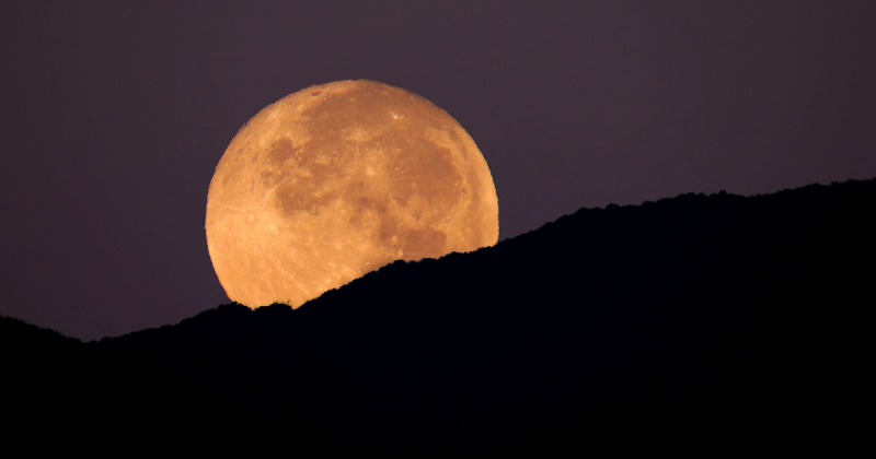 Lua por trás de vegetação e céu arroxeado