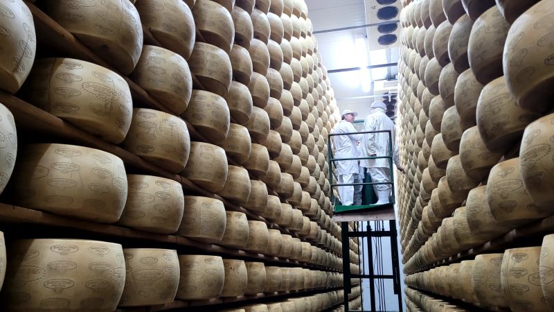 A tecnologia usada na fabricação do nobre Grana Padano é italiana e precisou ser importada – Foto: Arliss Amaro/ND