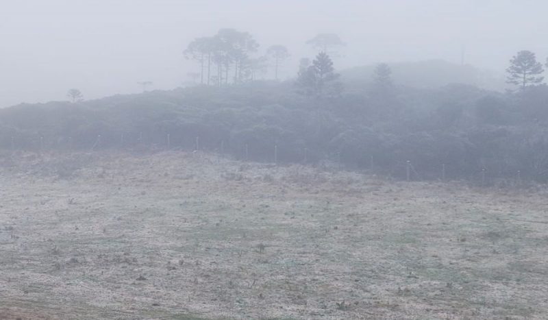 Neve em SC pintou a paisagem de São Joaquim de branco