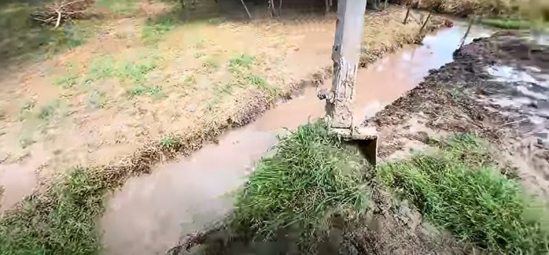 Sucuri aparece em escavadeira elétrica 