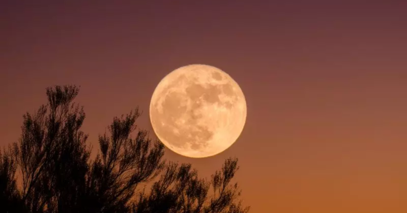 Nesta quinta-feira (17) será possível observar a Superlua. 