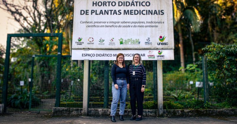 Uso de plantas medicinais ultrapassa gerações e se torna patrimônio biocultural no Sul de SC