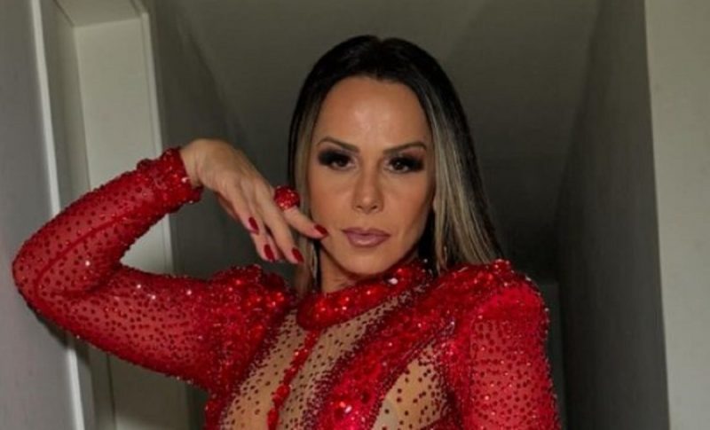 na imagem aparece a Viviane Araújo posando para foto antes do carnaval