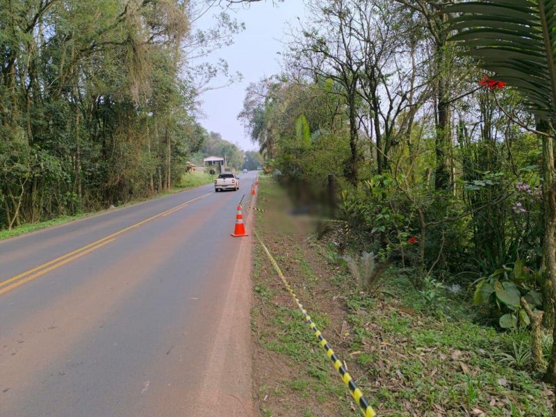 Corpo de homem é achado às margens de rodovia de SC após suposto atropelamento