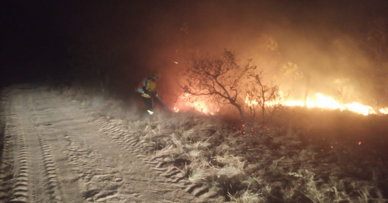 Incêndios reforçam a importância de enfrentar sintomas de doenças respiratórias