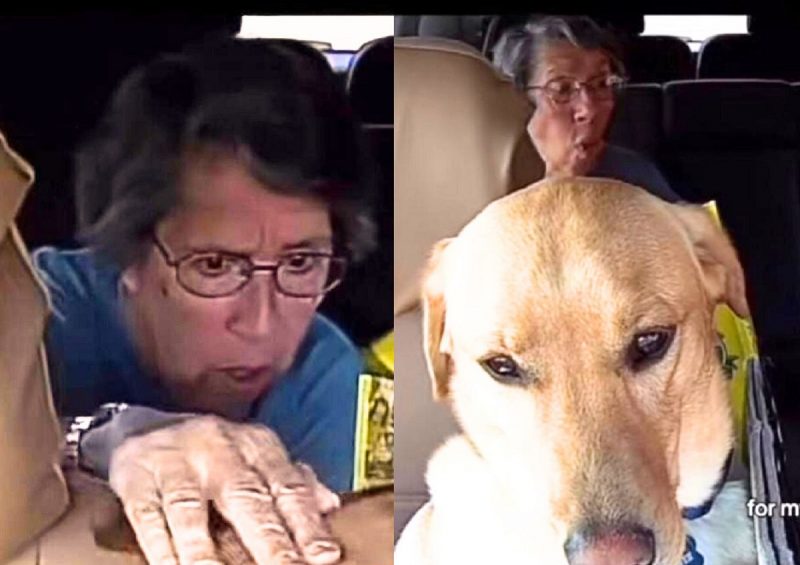 Frame de vídeo mostra passageira interagindo com o cachorro Bowie durante corrida de aplicativo