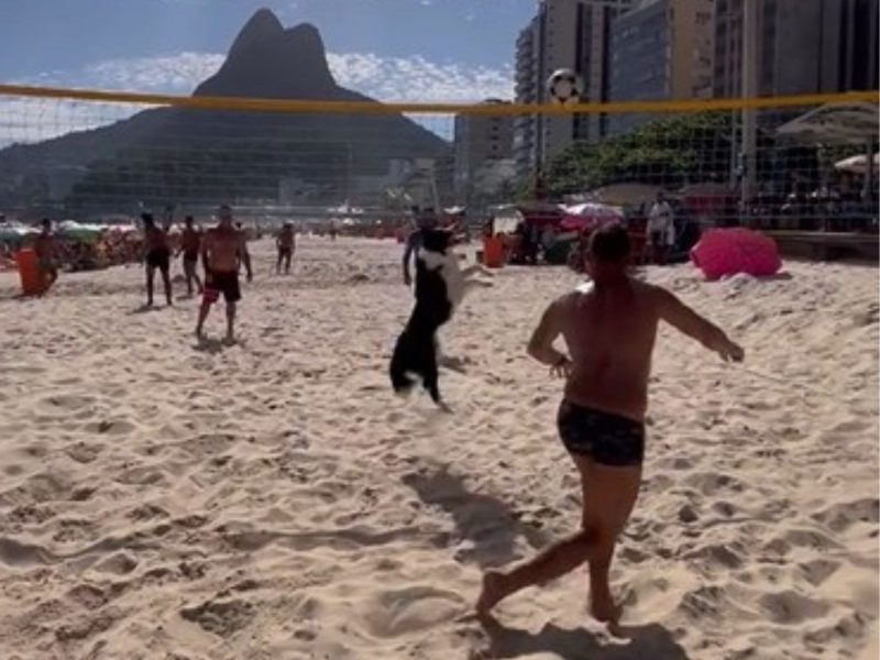 Cachorro conhecido com "dog da altinha", jogando futevôlei