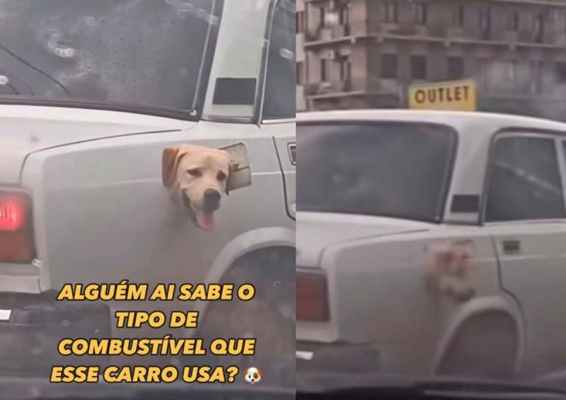Frame de vídeo mostra cão sendo transportado no tanque de gasolina do carro