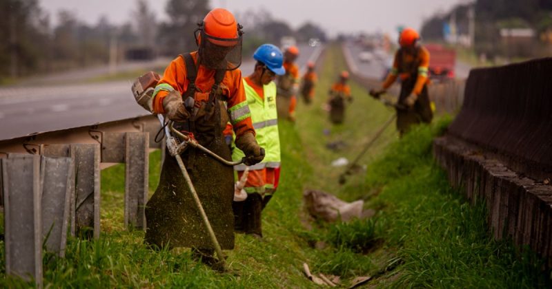 Obras na BR-101 devem causar lentidão no tráfego nesta semana 