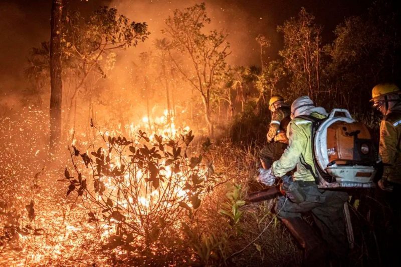 Entre no janeiro de outubro de 2024, queimadas em biomas brasileiros cresceram até 639% em algumas regiões