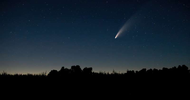 Vegetação e em céu um cometa 