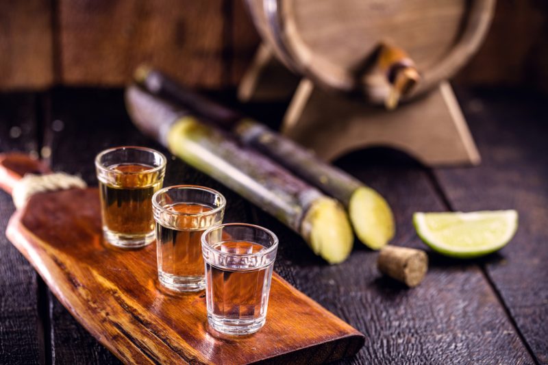 Dia da Cachaça: Xícaras de cachaça, uma bebida brasileira feita de cana-de-açúcar, uma corrida brasileira popularmente chamada de "pinga", espaço de cópia