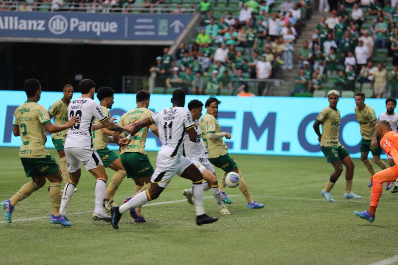 Criciúma foi atropelado pelo Palmeiras e foi goleado por 5 a 0 no Allianz Parque