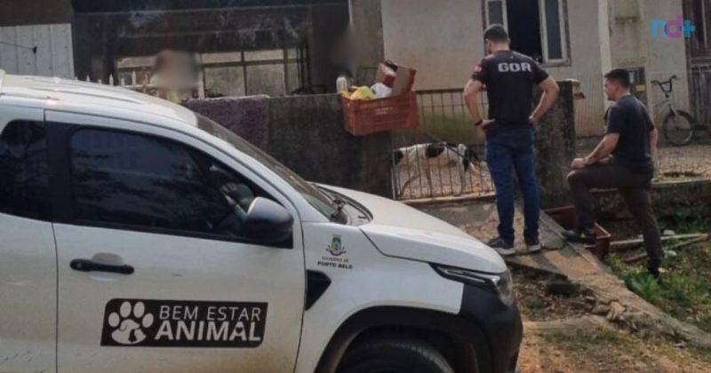 foto do momento em que tutora é presa em flagrante por manter cachorro sem água, nem comida, em local insalubre