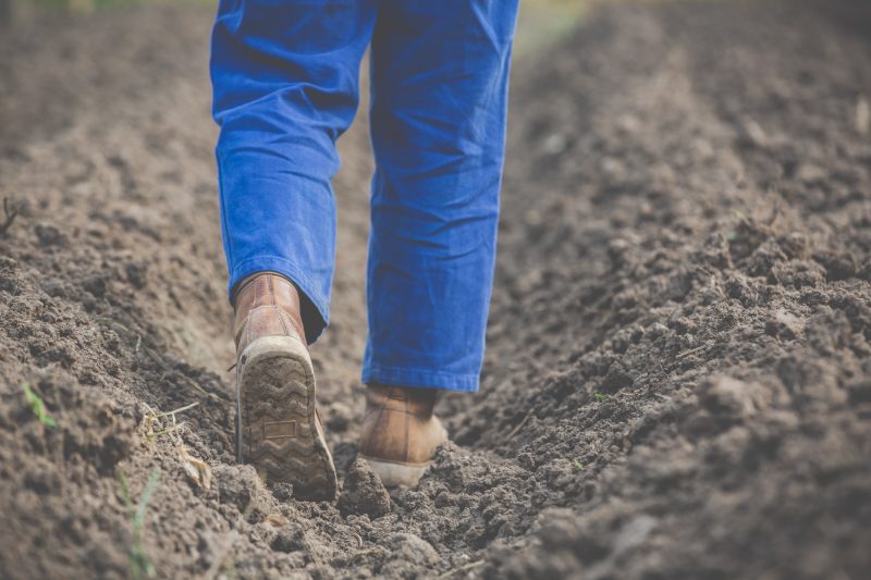 Foto mostra pessoa caminhando sobre terra; homem foi preso por disputa de terras