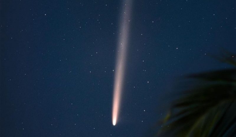 'Cometa do século' poderá ser visto até esta semana no Brasil