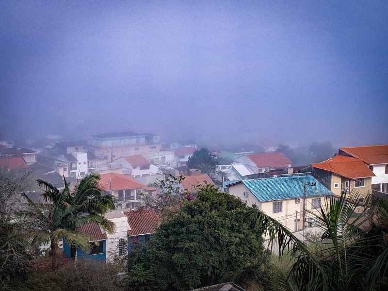 Retorno das chuvas podem agravar ocorrência de chuva preta em SC